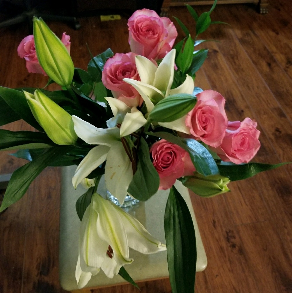 Meet your Posher, Vina